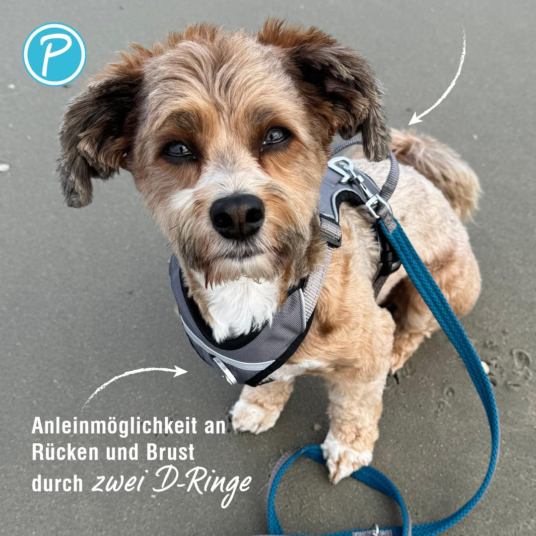 Petlando Hundegeschirr Outdoor – stark reflektierend, gepolstert, atmungsaktiv, robust, stufenlos ve