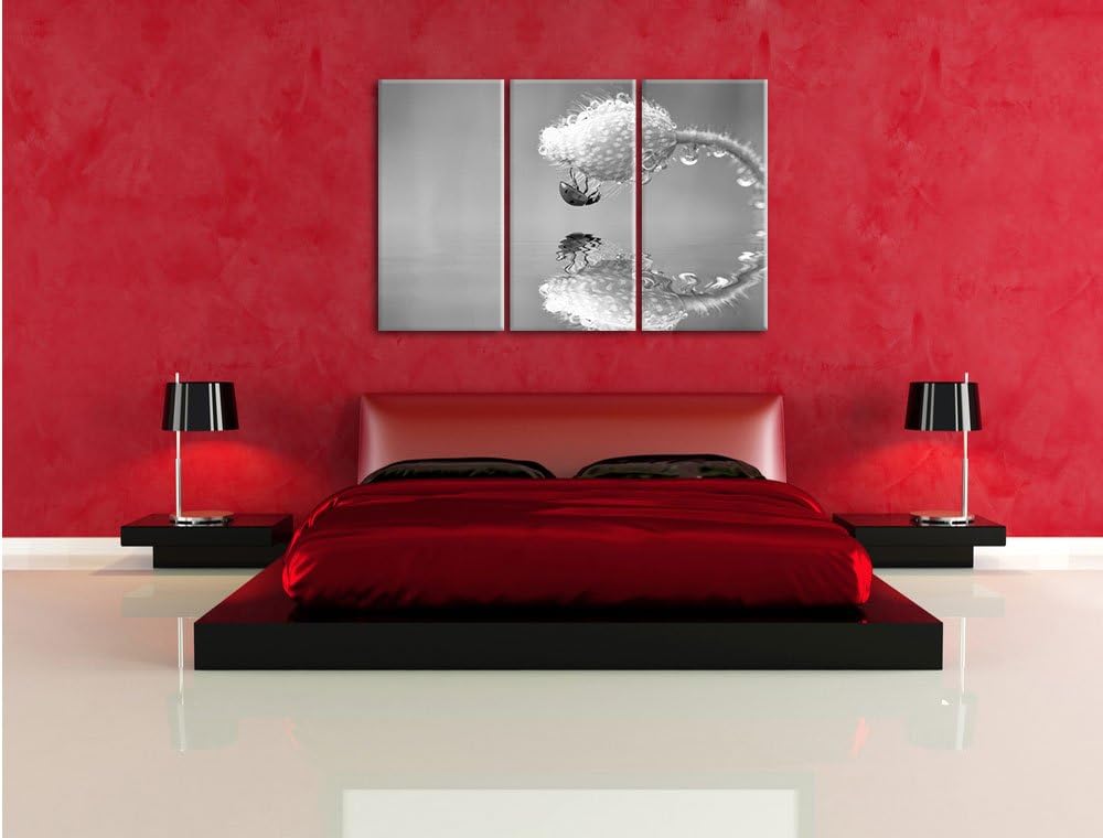 Pixxprint Marienkäfer Mohnblume als Leinwandbild/Grösse: 3 Teilig (120x80) / Wandbild/Kunstdruck/fer