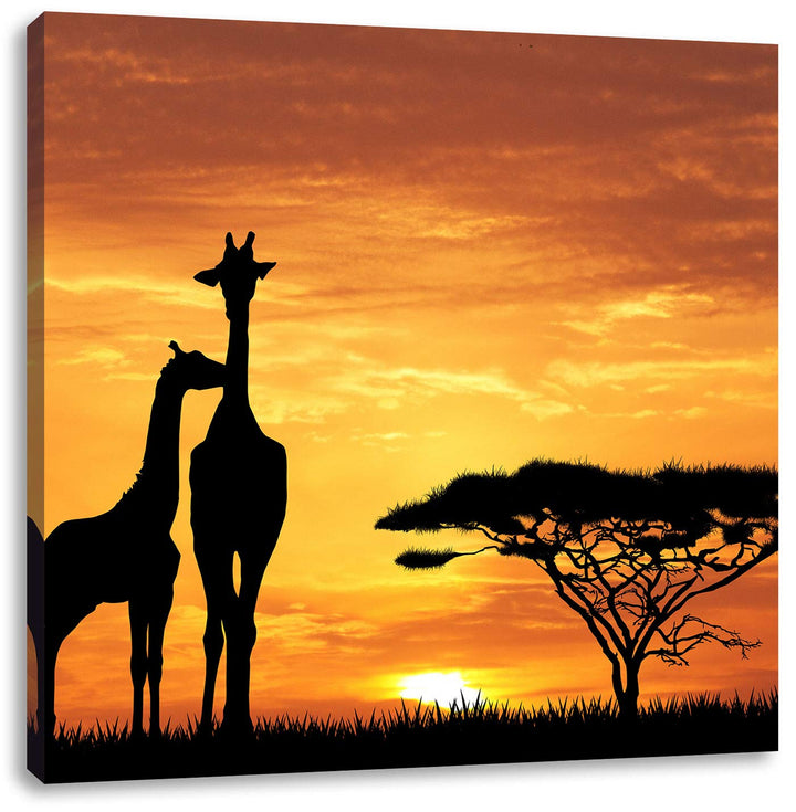 Pixxprint Giraffen im Sonnenuntergang als Leinwandbild Quadratisch | Grösse: 70x70 | Wandbild| Kunst