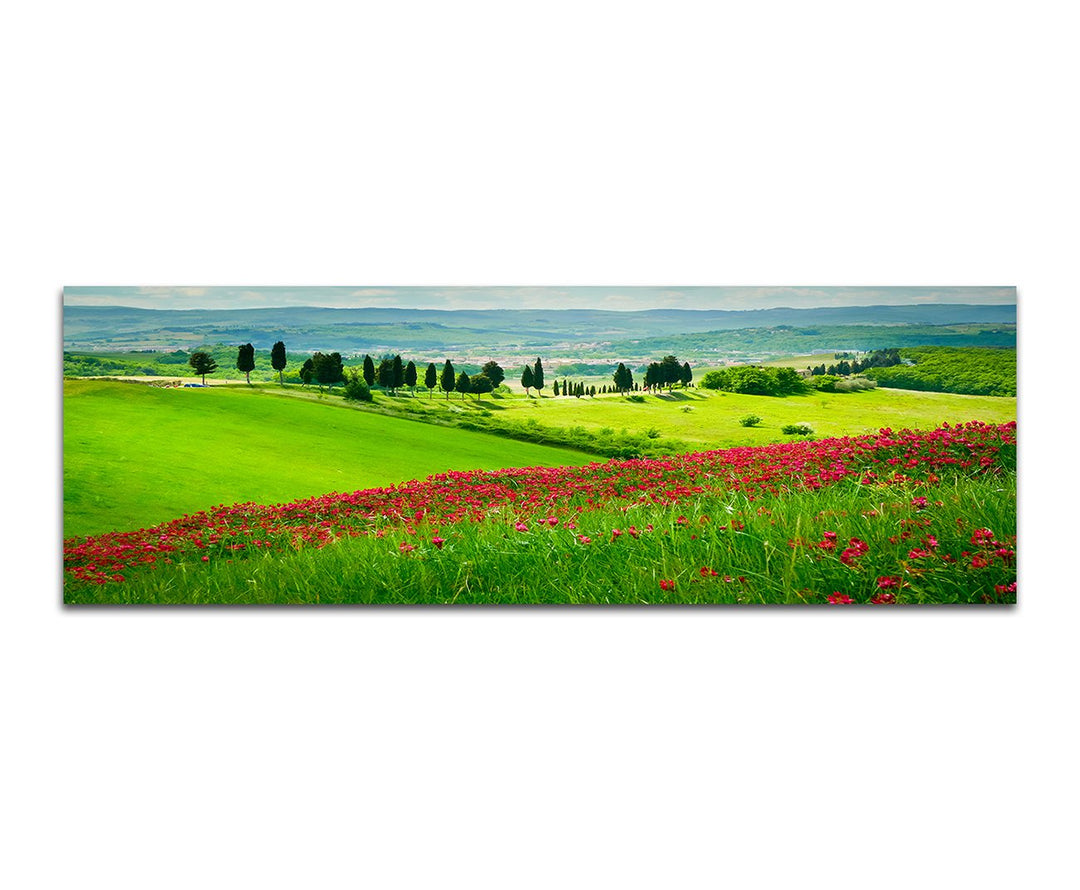 Paul Sinus Art Panoramabild auf Leinwand und Keilrahmen 150x50cm Toskana Blumenwiese Zypressen Lands