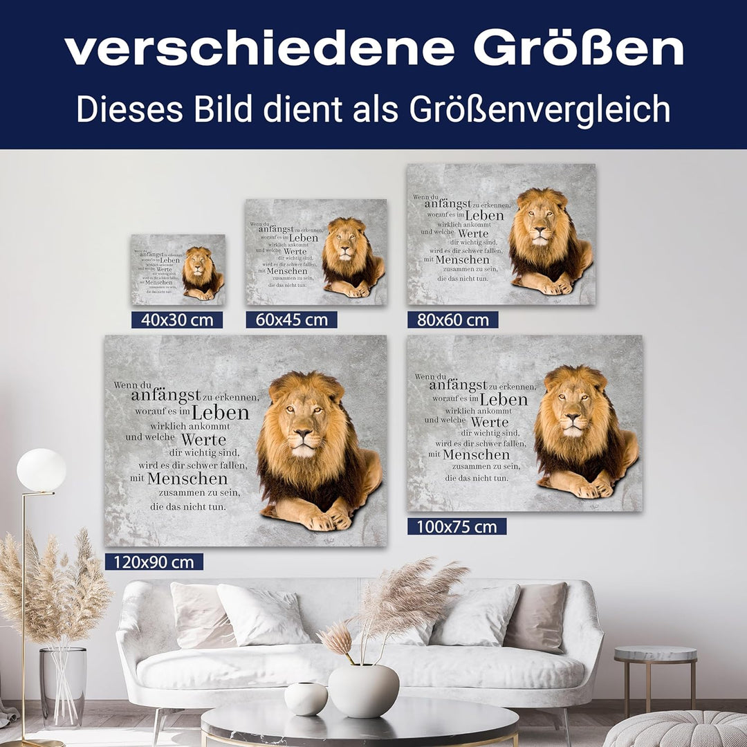 wandmotiv24 Motivations Motiv als Leinwandbild, 60x45cm, Querformat, welche Werte, Löwe, Beton, Grun
