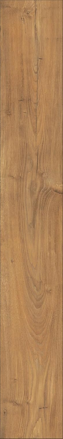 Atlantic 10 5537 Tawny Chestnut