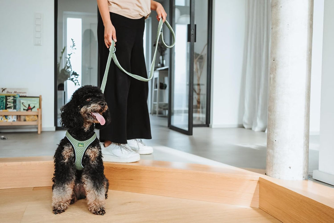 Hunter Hundegeschirr Hilo Comfort, Farbe: lindgrün, Easy Step-In Geschirr für kleine bis mittlere Hu