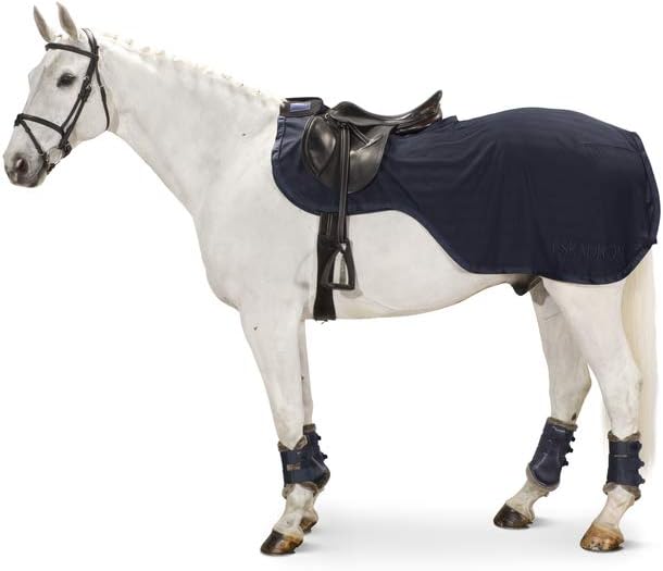 Eskadron Fliegenausreitdecke Cooler Exercise Classic Sports Frühjahr 21 balsamgreen L, balsamgreen L