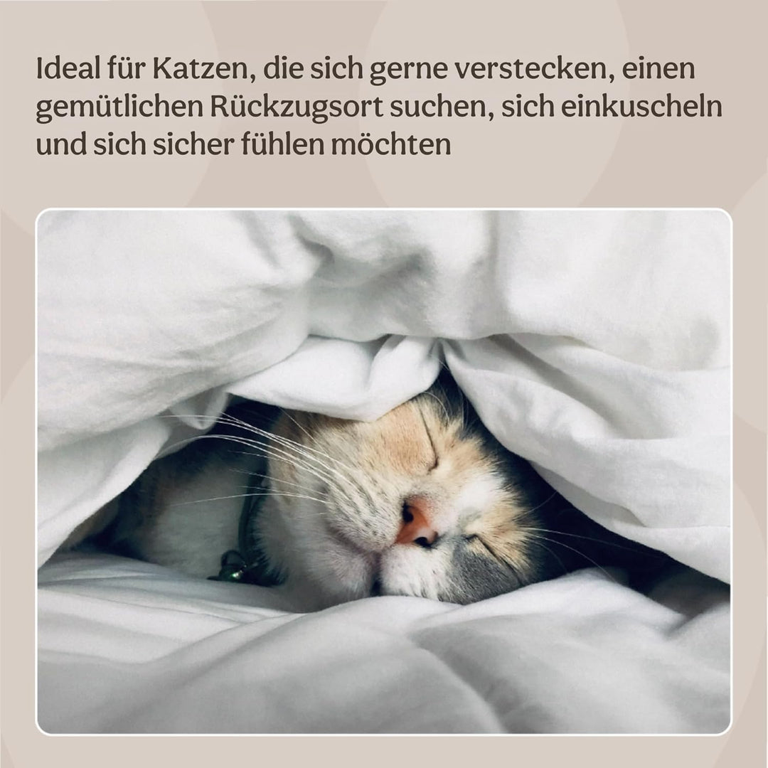 Rosewood 03081 superweiches Teddybär-Katzenbett in Luxusausführung, 38 x 38 cm, grau, grau