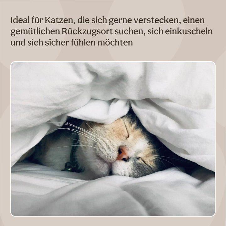 Rosewood 03081 superweiches Teddybär-Katzenbett in Luxusausführung, 38 x 38 cm, grau, grau