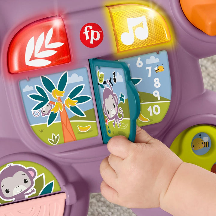 Fisher-Price Lauflernwagen für Babys Lern mit Mir Lila AFFE Spielzeug mit Musik, Lichtern &amp; Aktivitä