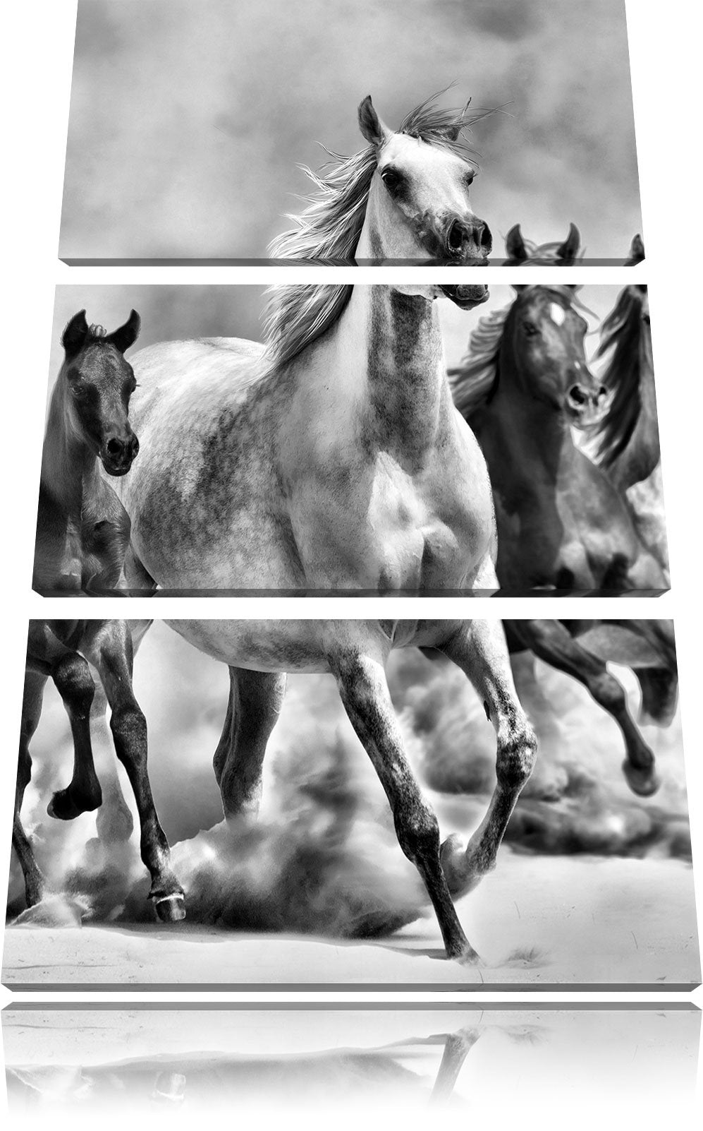 Pixxprint Western Pferde Fohlen / 3-Teilig/Gesamtmass 120cm Leinwandbild bespannt auf Holzrahmen/Wan