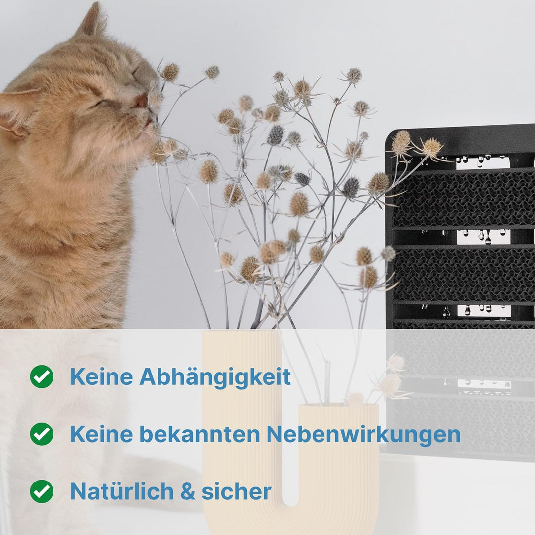 Salino Mini-Saline Vita – Stylischer Salzluft-Befeuchter für Zuhause, gesundes Raumklima, natürliche