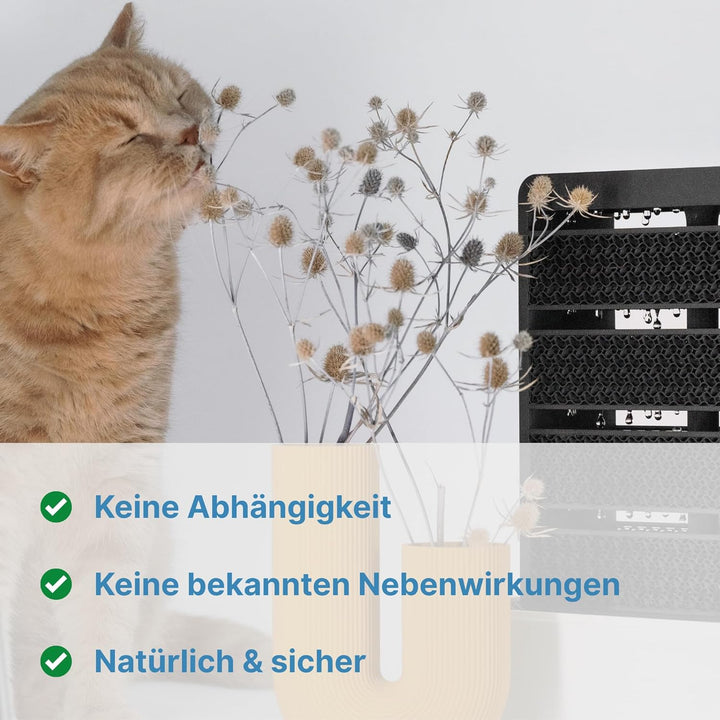 Salino Mini-Saline Vita – Stylischer Salzluft-Befeuchter für Zuhause, gesundes Raumklima, natürliche