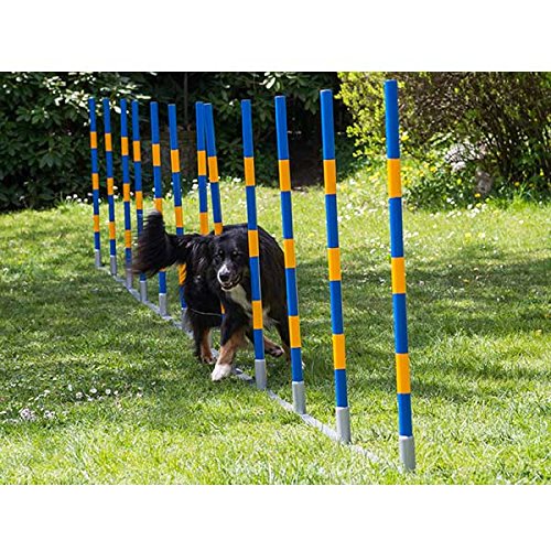 Procyon Dog Agility Profi Alu Slalom