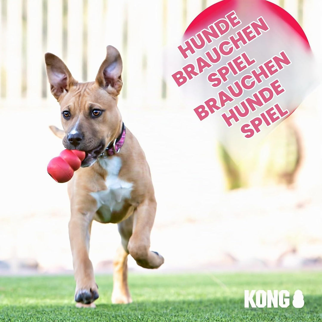 KONG Extreme Ball mit Seil Large 1 Stück (1er Pack), 1 Stück (1er Pack)
