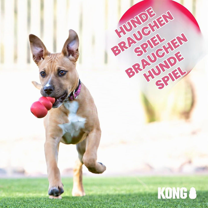 KONG Extreme Ball mit Seil Large 1 Stück (1er Pack), 1 Stück (1er Pack)