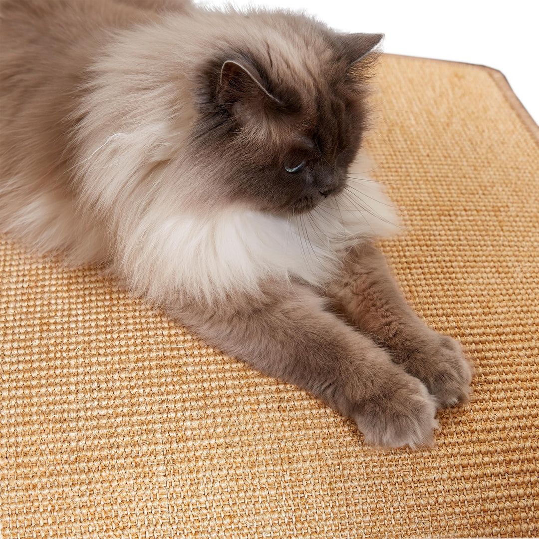 Carpido Kratzmatte für Katzen - Fussmatte Sisal Kratzteppich - natürliche Sisalmatte robust - Vorleg