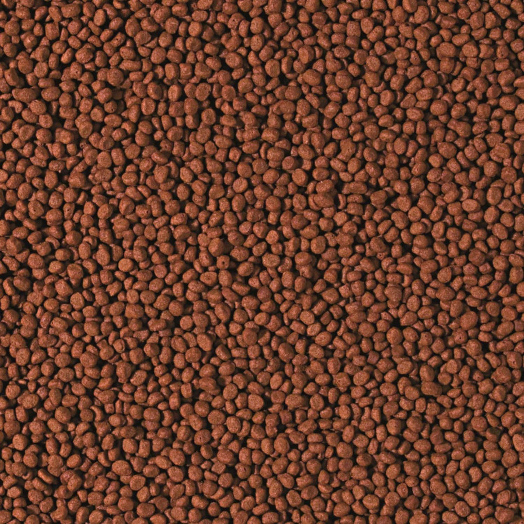 Tropical Cichlid Carnivore Small Pellet, 1er Pack (1 x 10000 ml)