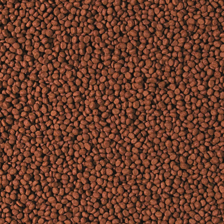 Tropical Cichlid Carnivore Small Pellet, 1er Pack (1 x 10000 ml)