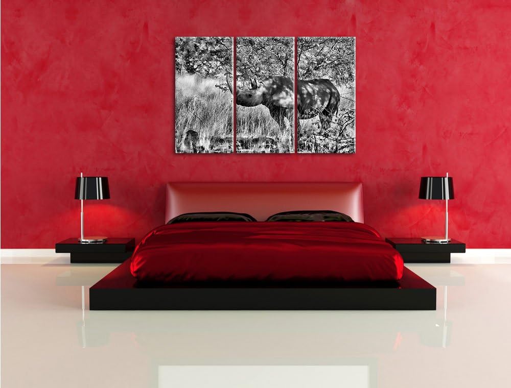 Pixxprint Nashorn in der Savanne als Leinwandbild/Grösse: 3 Teilig (120x80) cm/Wandbild/Kunstdruck/f