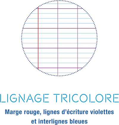 Clairefontaine 309341C - Packung mit 10 Heften Mimesys DIN A4+ 24x32 cm, 96 Blatt, französische Line