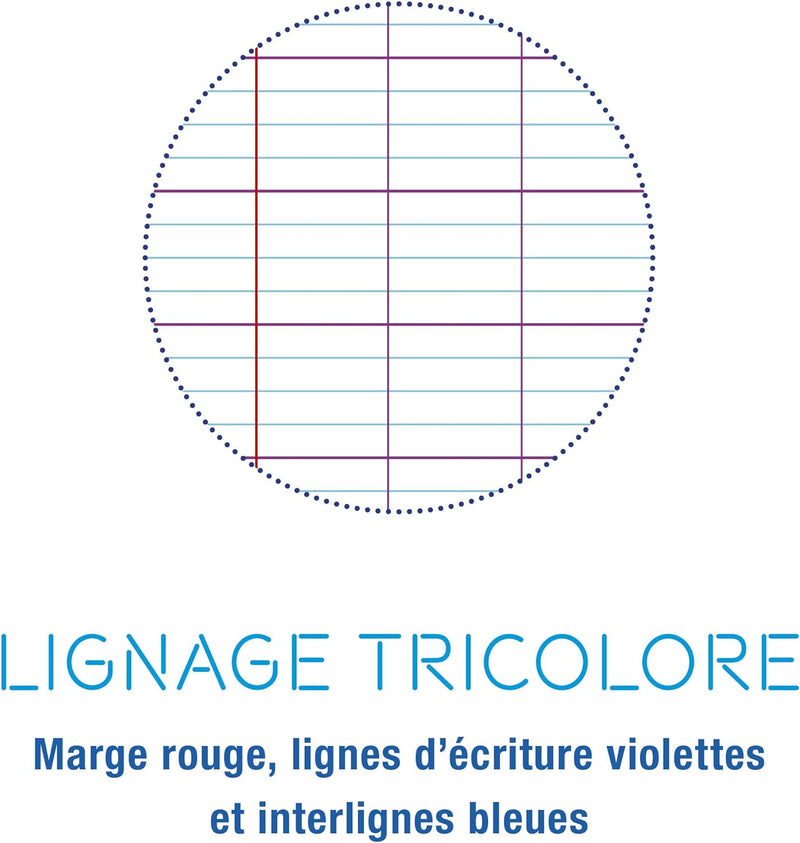 Clairefontaine 309341C - Packung mit 10 Heften Mimesys DIN A4+ 24x32 cm, 96 Blatt, französische Line