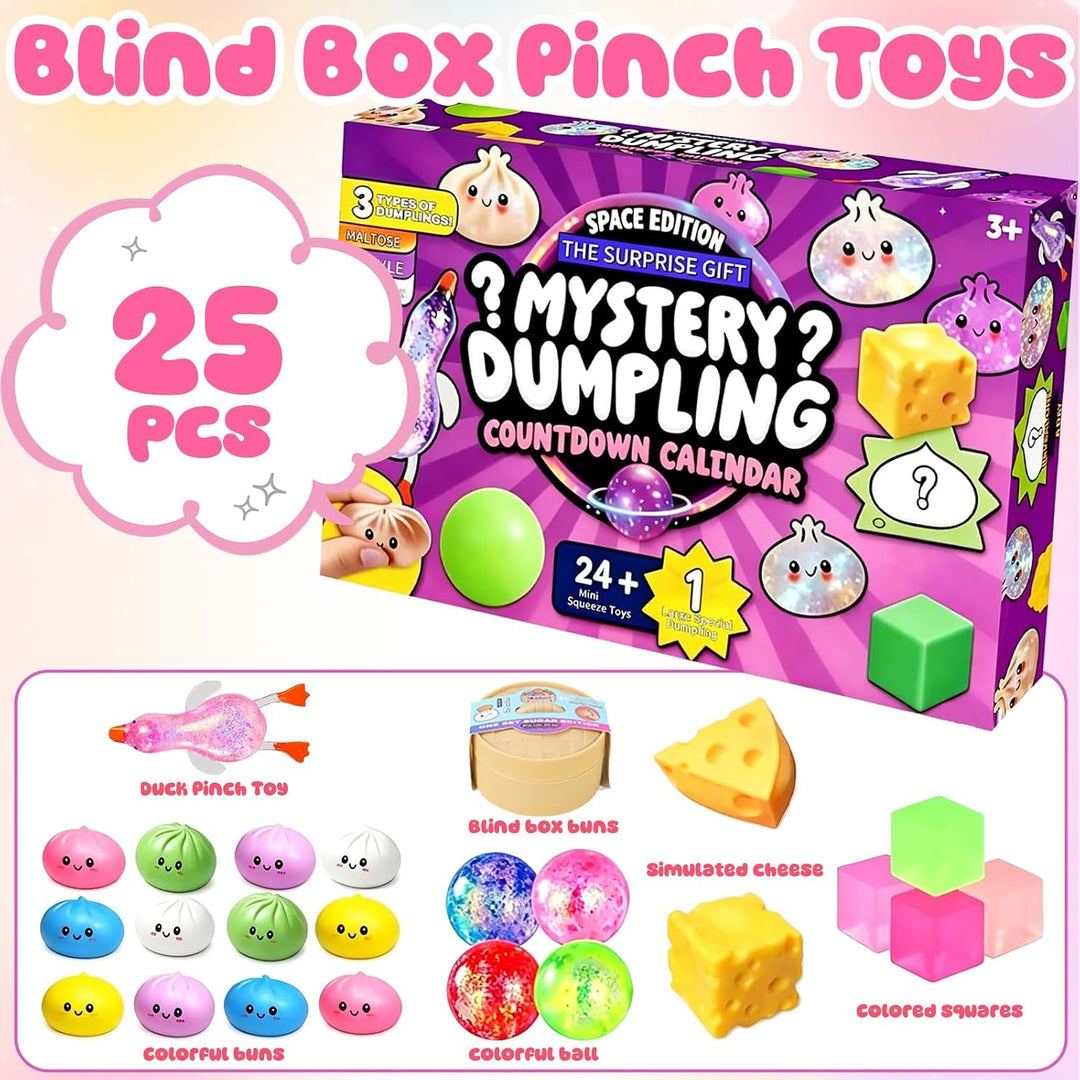 CWENDANE 25 Stück Adventskalender Sensorik Spielzeug,Fidget Toys Set