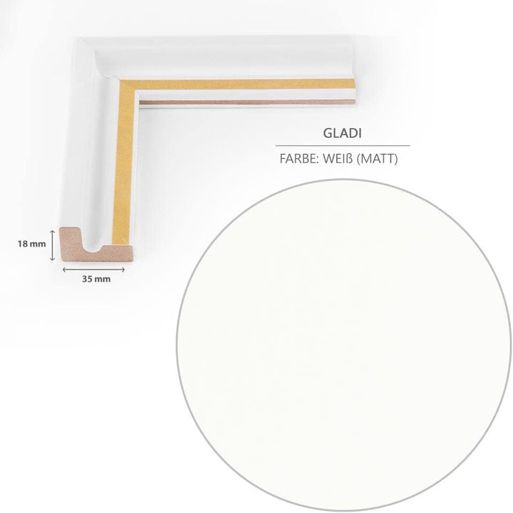 Bildershop-24 Schattenfugenrahmen Gladi5 zum Einrahmen von Acrylglas, Glas, Alu-Dibond, Forex Bildtr