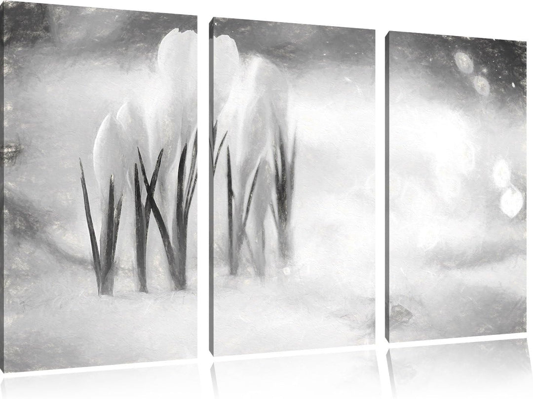 Pixxprint Schneeglöckchen im Frühjahr Kunst Kohle Effekt 3-Teiler Leinwandbild 120x80 Bild auf Leinw