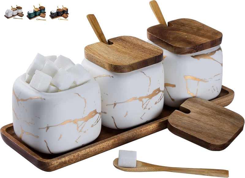 TELANKS Zuckerdose 3er Set mit Deckel und Löffel, Gewürzbehälter Keramik, Salzdose mit Deckel, Salzt