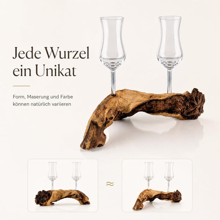 Deggelbam Schnapsgläser/Grappagläser/Grappawurzel edel auf Einer Wurzel aus echtem Holz. Jedes Stück