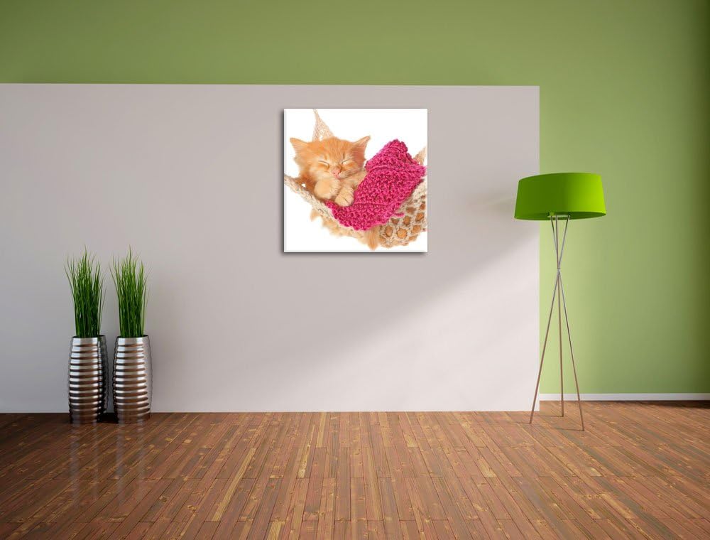 Pixxprint Katzenbaby in Hängematte als Leinwandbild Quadratisch/Grösse: 70x70 / Wandbild/Kunstdruck/