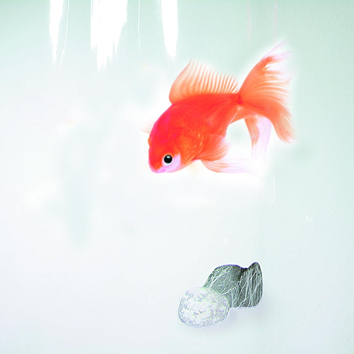 Spirella Anti-Schimmel Duschvorhang Goldfisch Anti-Bakteriell, waschbar, wasserdicht Vinyl 180x200cm