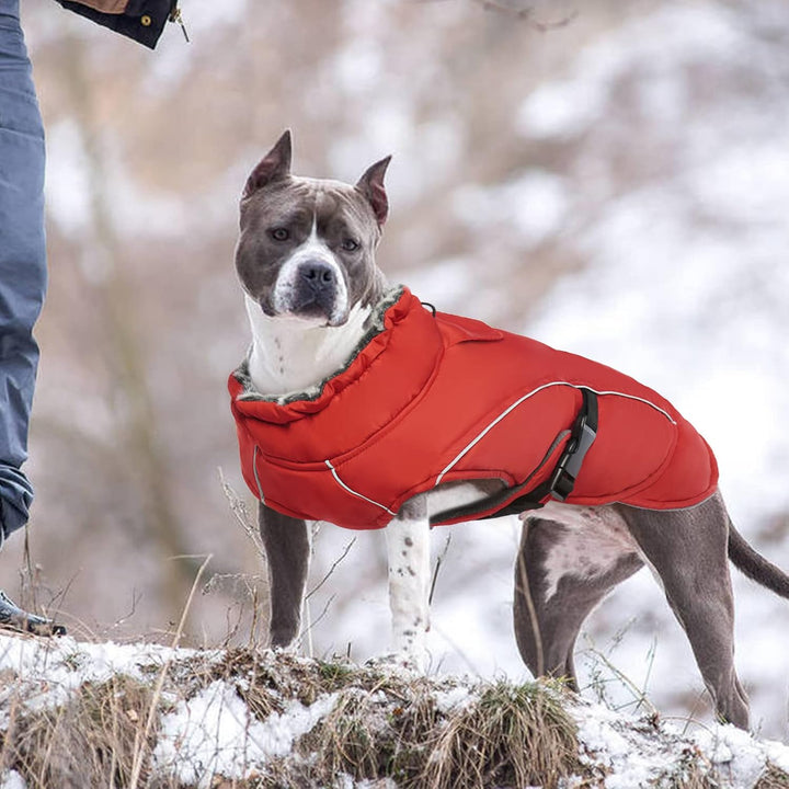 Hundemantel Wasserdicht, Wintermantel für Kleine Hunde Winter Hundejacke Hundeweste Kleine Hunde War