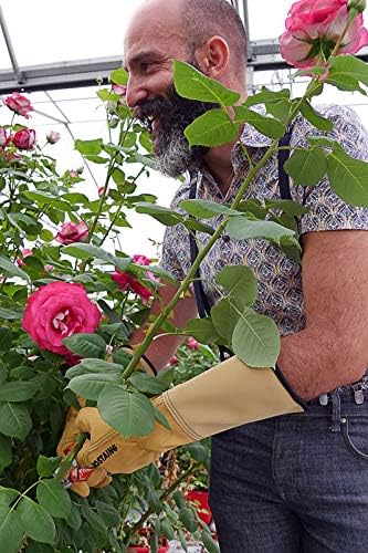 ROSTAING ROSERAIE-IT10 Gartenhandschuhe, Pro Rosen und kleine Nadelpinsel, Leder, Beige, Rosenrot, G