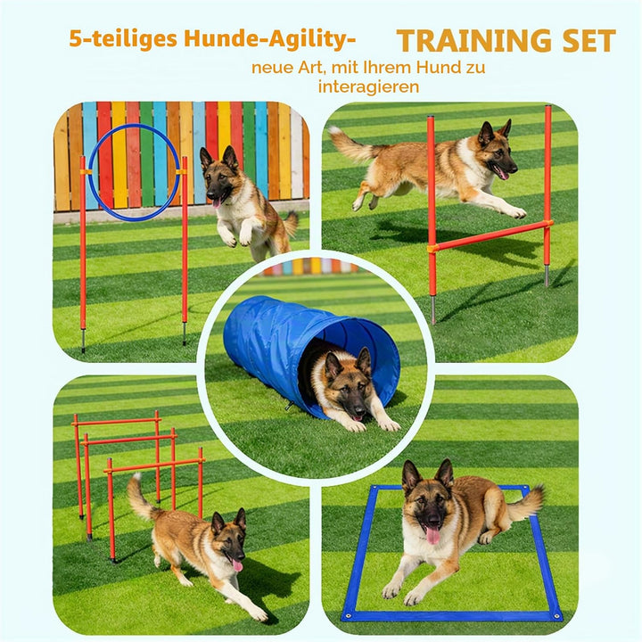 Agility Set Hunde Agility Reaktionstraining Ausrüstung für Hundetraining Hundesport mit Hundetunnel,