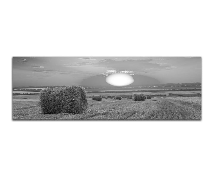 Paul Sinus Art Leinwandfoto als Panorama SCHWARZ/Weiss 120x40cm Feld Strohballen Herbst Sonnenunterg