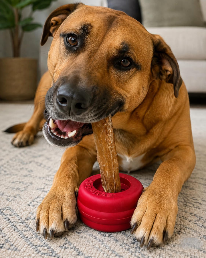 Bully Stick Halter für Hunde - Grosse Grösse - Interaktives Hundespielzeug, Leckerli-Halter, Leckerl
