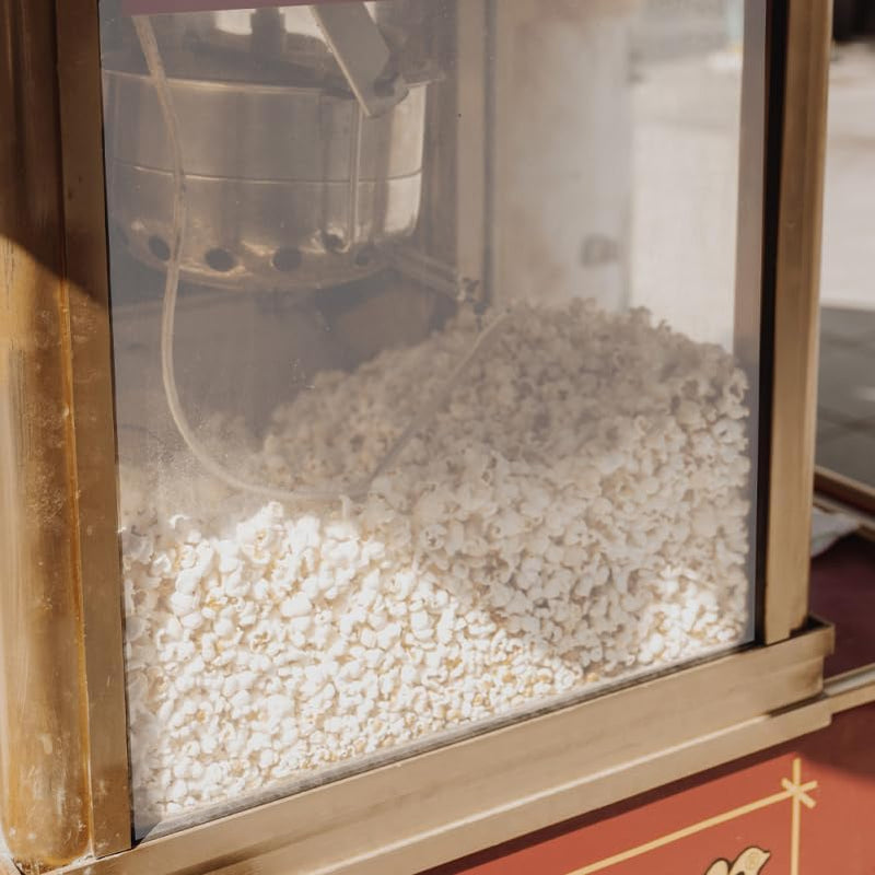 PRETYZOOM Popcorn Maschinen Türverkleidung Popcorn Maschinen Blende Ersetzen Schallwand Für Automati