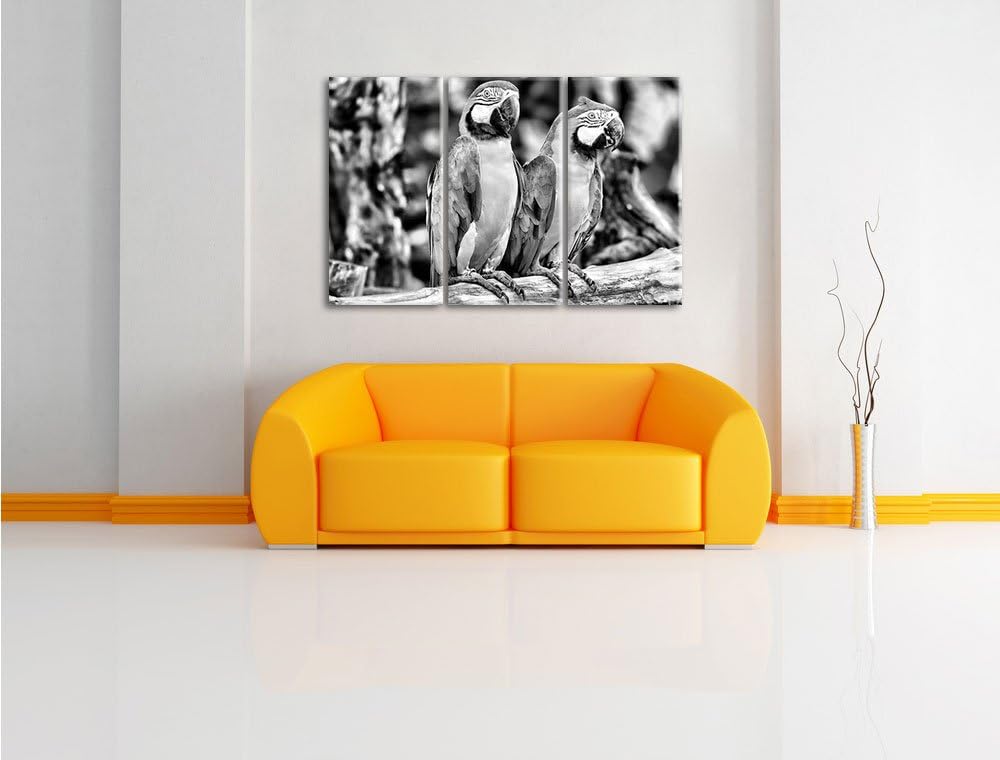 Zwei Papageien als Leinwandbild | Grösse: 3 Teilig (120x80) | Wandbild| Kunstdruck | fertig bespannt