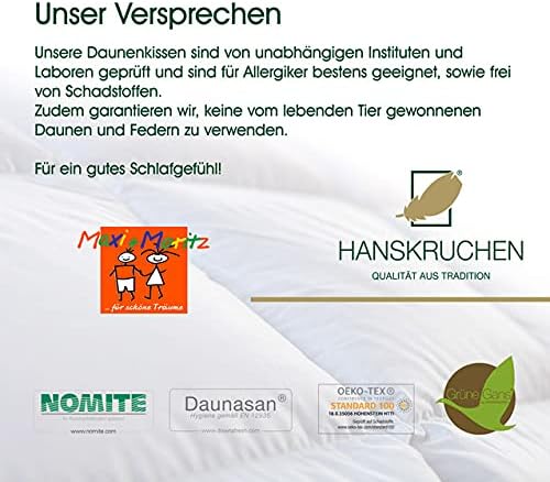 HANSKRUCHEN® Maxi und Moritz Daunen Kinderbettdecke 135x100 cm - Sommer / Übergang - Made in Germany