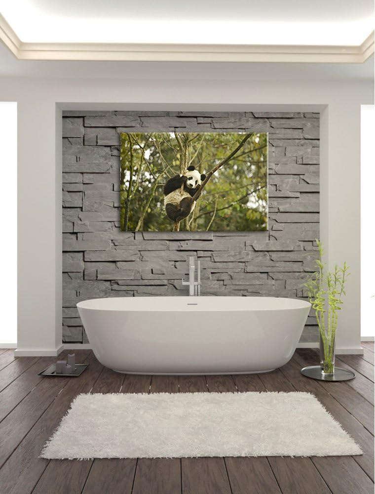 niedlicher Pandabär auf Baum Leinwand, XXL riesige Bilder fertig gerahmt mit Keilrahmen, Kunstdruck