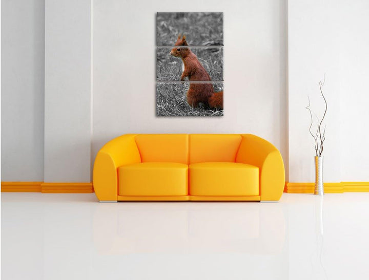 Pixxprint kleines Eichhörnchen auf Waldboden schwarz/weiss 3-Teiler Leinwandbild 120x80 Bild auf Lei