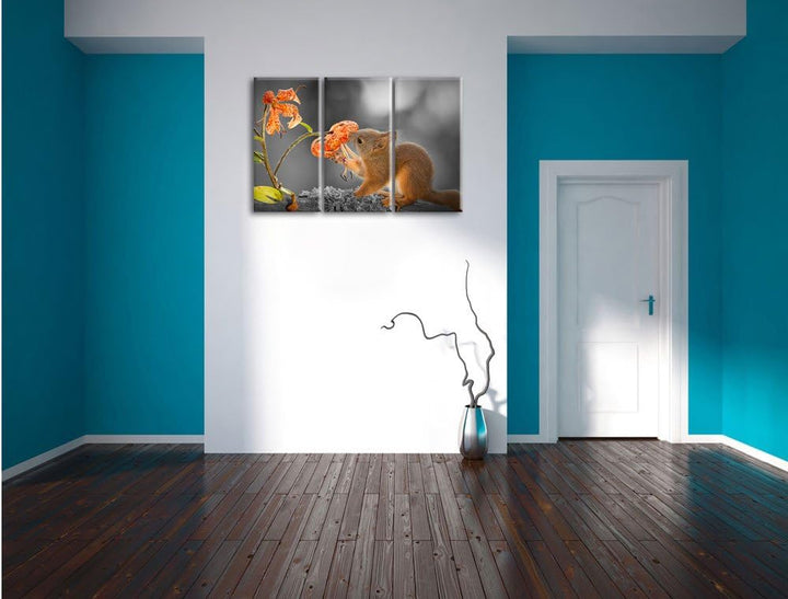 Pixxprint Eichhörnchen riecht an Einer Blume als Leinwandbild/Grösse: 3 Teilig (120x80 cm) cm/Wandbi