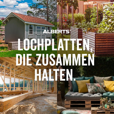 Alberts 847289 Lochplatte | sendzimirverzinkt | 300 x 100 mm | 20er Set 300 x 100 mm / 20 Stk., 300