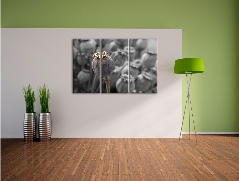 Pixxprint Mohnkapsel der Mohnblume B&W Detail 3-Teiler Leinwandbild 120x80 Bild auf Leinwand