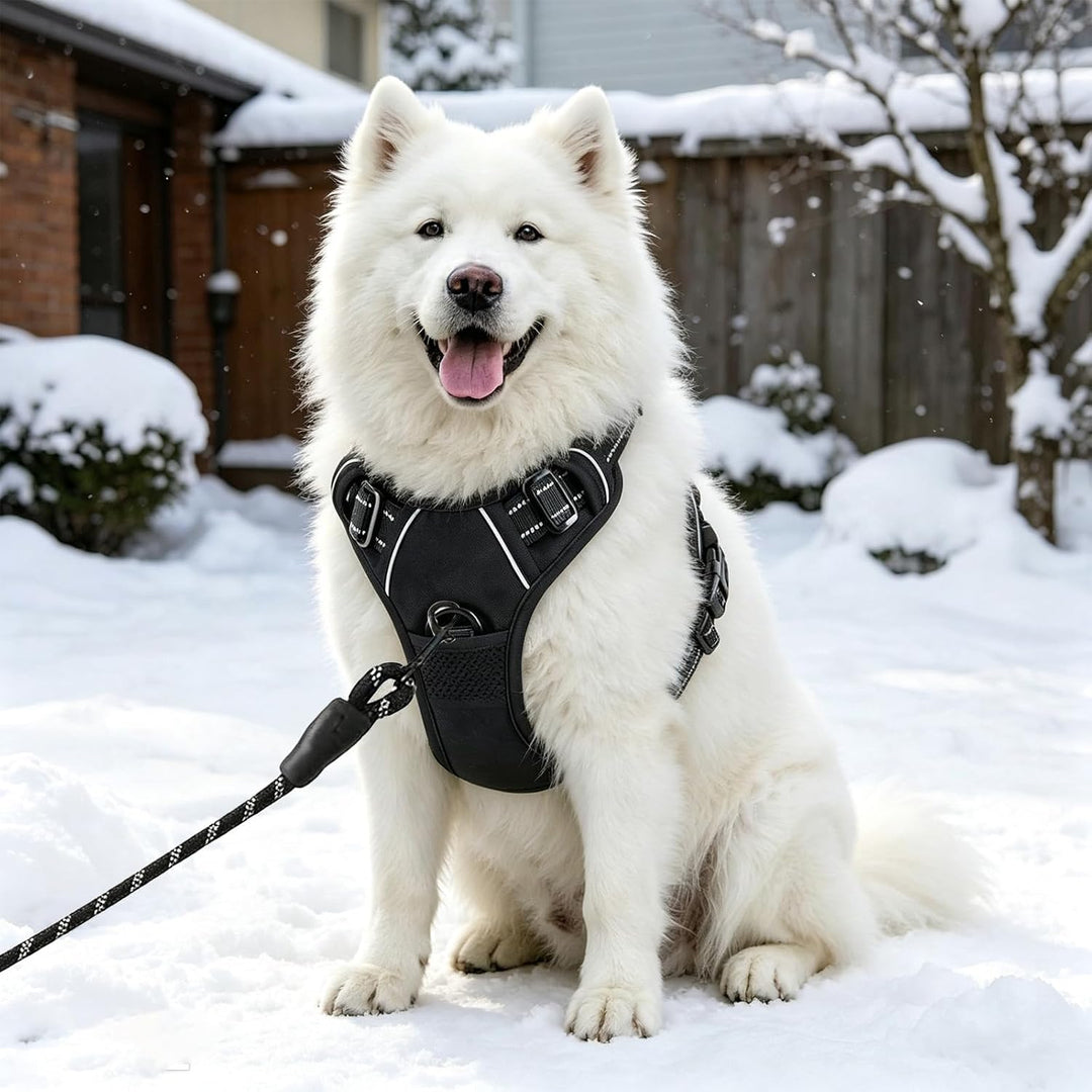 Hundegeschirr Verstellbar 38-89cm Brust Reflektierend | Doppelzugpunkte Vorne &amp; Hinten, Polyester Ne