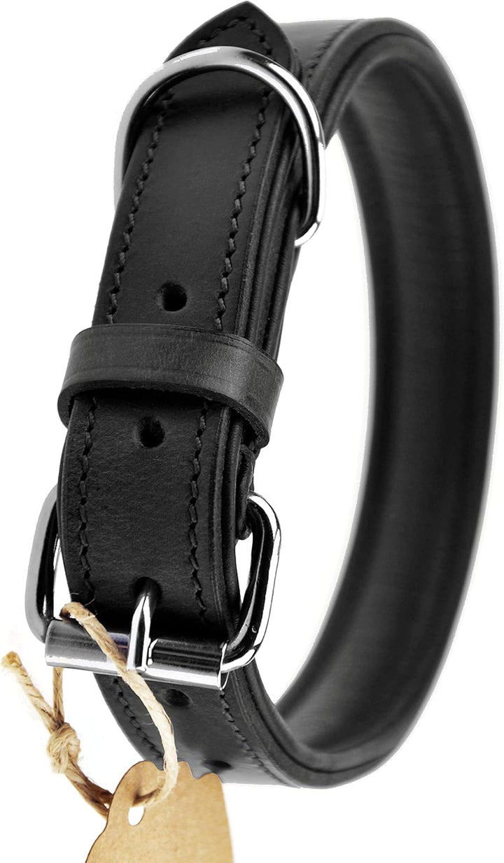 Schnüffelfreunde Halsband für Hunde aus Leder, Hundehalsband für den grossen, mittleren und kleinen