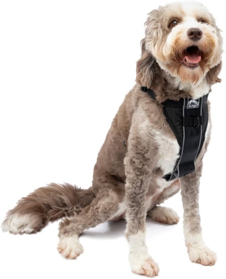 Kurgo Tru-Fit Smart Hundegeschirr, Mit gepolstertem Brustteil und D-Ring, Inklusive Autosicherheitsg