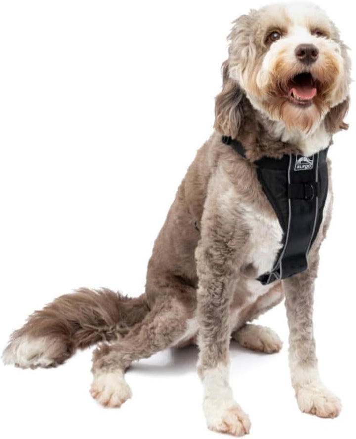 Kurgo Tru-Fit Smart Hundegeschirr, Mit gepolstertem Brustteil und D-Ring, Inklusive Autosicherheitsg