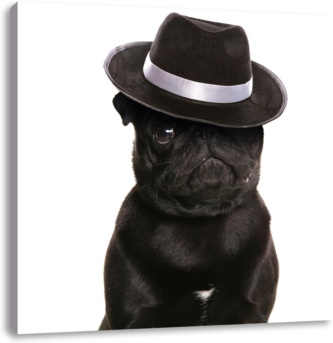 Mops mit Mafia Hut, Format: 70x70 auf Leinwand, XXL riesige Bilder fertig gerahmt mit Keilrahmen, Ku