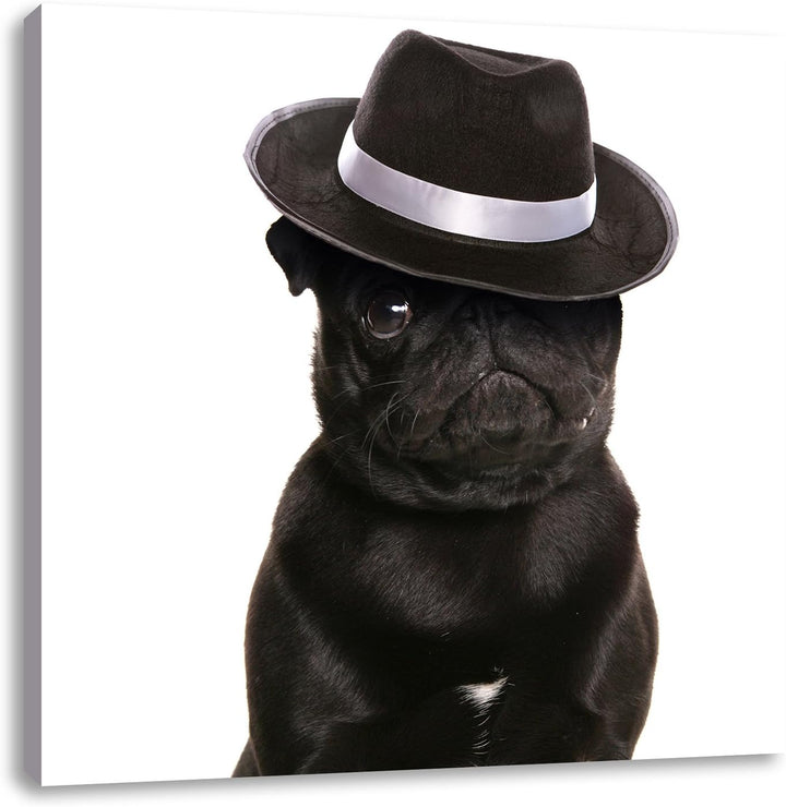 Mops mit Mafia Hut, Format: 70x70 auf Leinwand, XXL riesige Bilder fertig gerahmt mit Keilrahmen, Ku