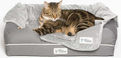 PetFusion Ultimate Solid 2,5 "Memory Foam Haustierbett für kleine Hunde und Katzen (25 x 20 x 5,5" o